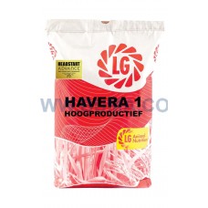 Havera 1 Hoogproductief